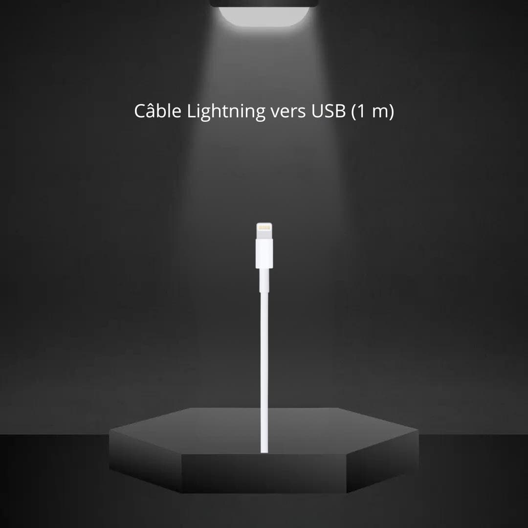 Câble Lightning vers USB (1 m / Apple)