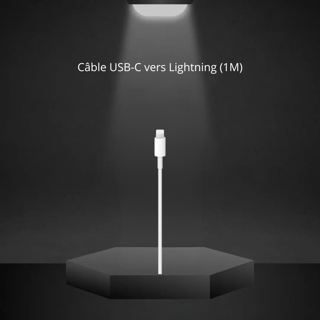 Câble USB-C vers Lightning (1 m / Apple)