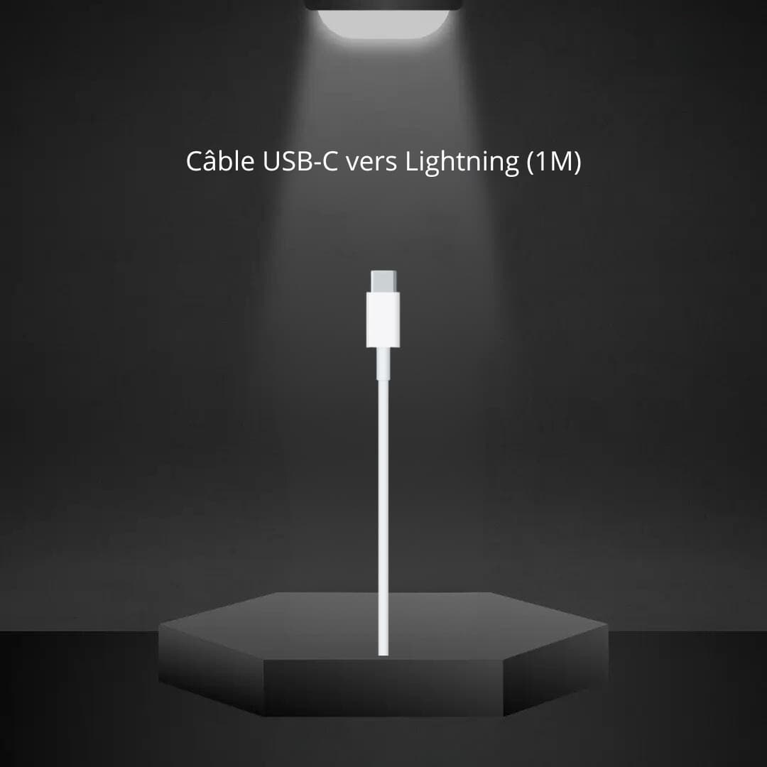 Câble USB-C vers Lightning (1 m / Apple)