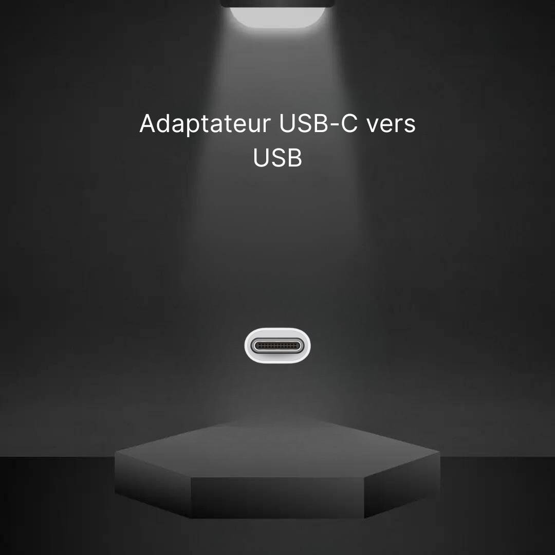 Adaptateur USB-C vers USB (Apple)