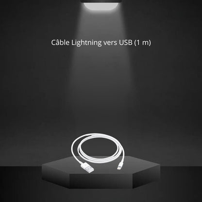 Lightning to USB cable (1 m / Apple)