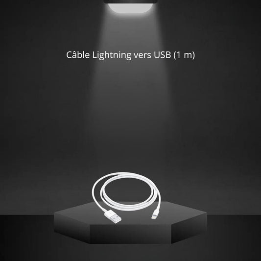 Câble Lightning vers USB (1 m / Apple)