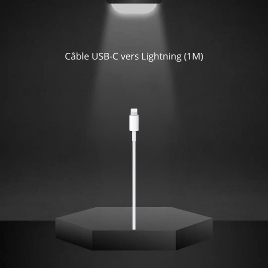 Câble USB-C vers Lightning (1 m / Apple)