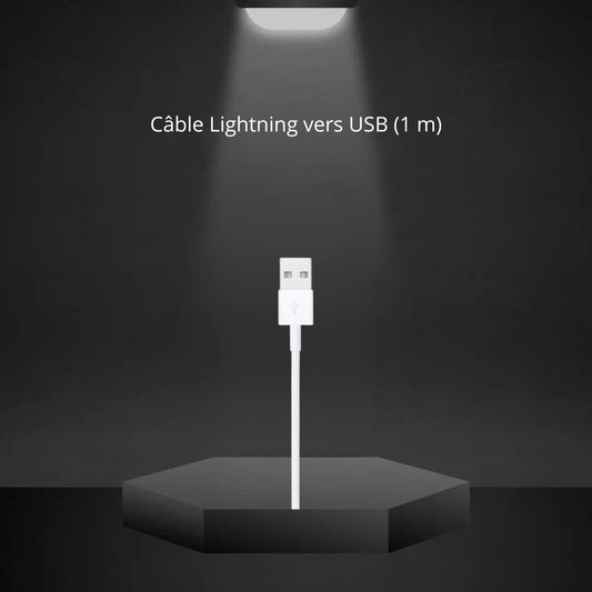 Câble Lightning vers USB (1 m / Apple)