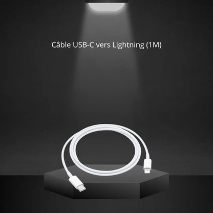 Câble USB-C vers Lightning (1 m / Apple)