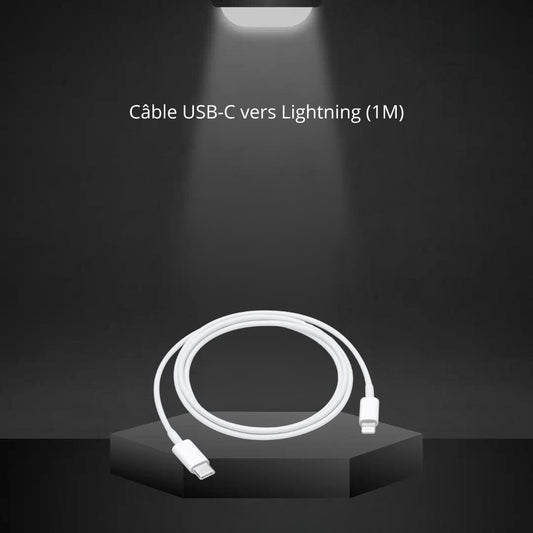 Câble USB-C vers Lightning (1 m / Apple)
