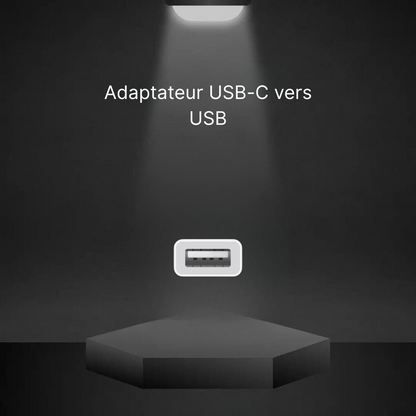 USB-C to USB Adapter (Apple)
