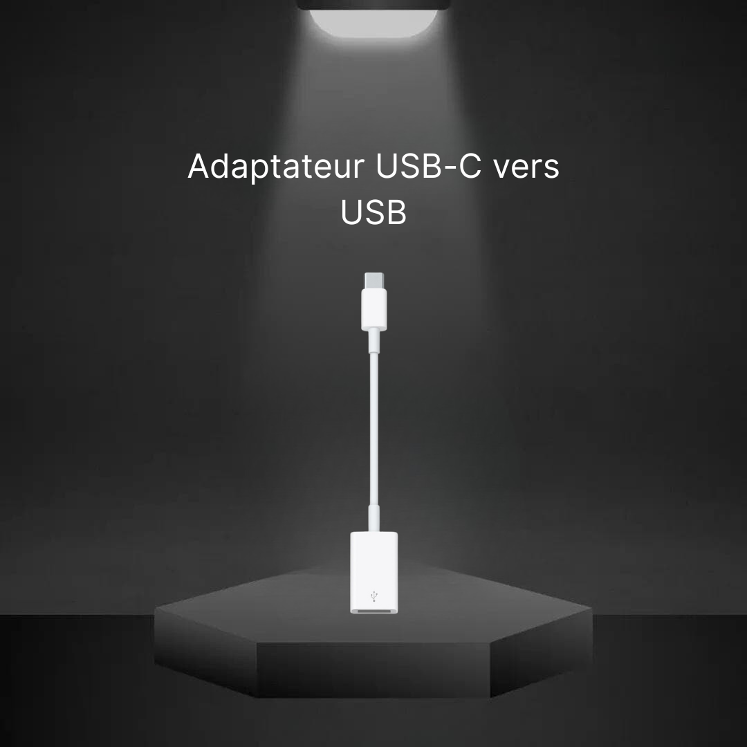 USB-C to USB Adapter (Apple)
