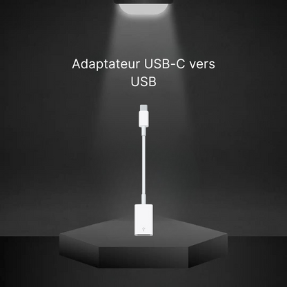 USB-C to USB Adapter (Apple)